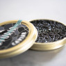 Sturia Beluga Huso Caviar