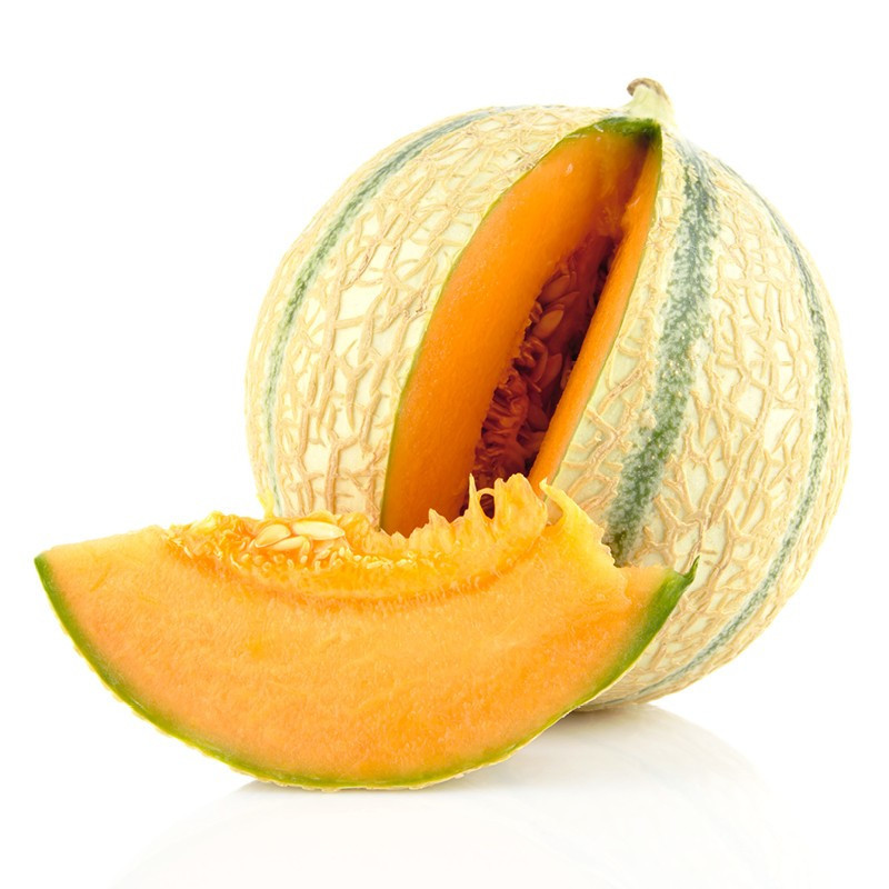 Charentais Melon