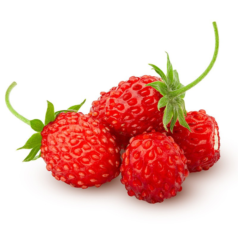 Wild Strawberries