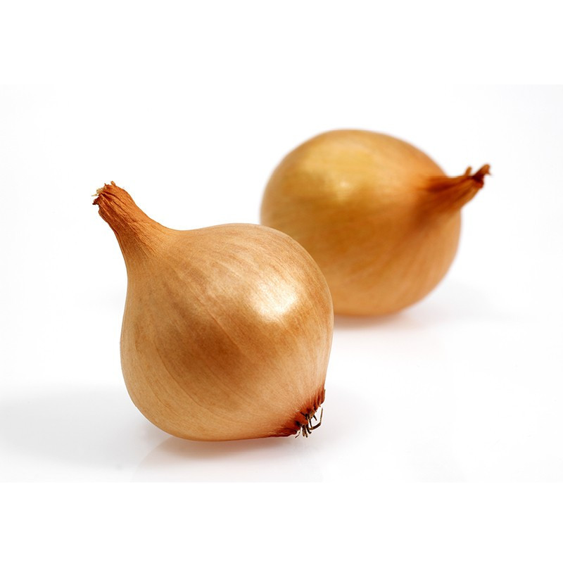 White Grelot Onions