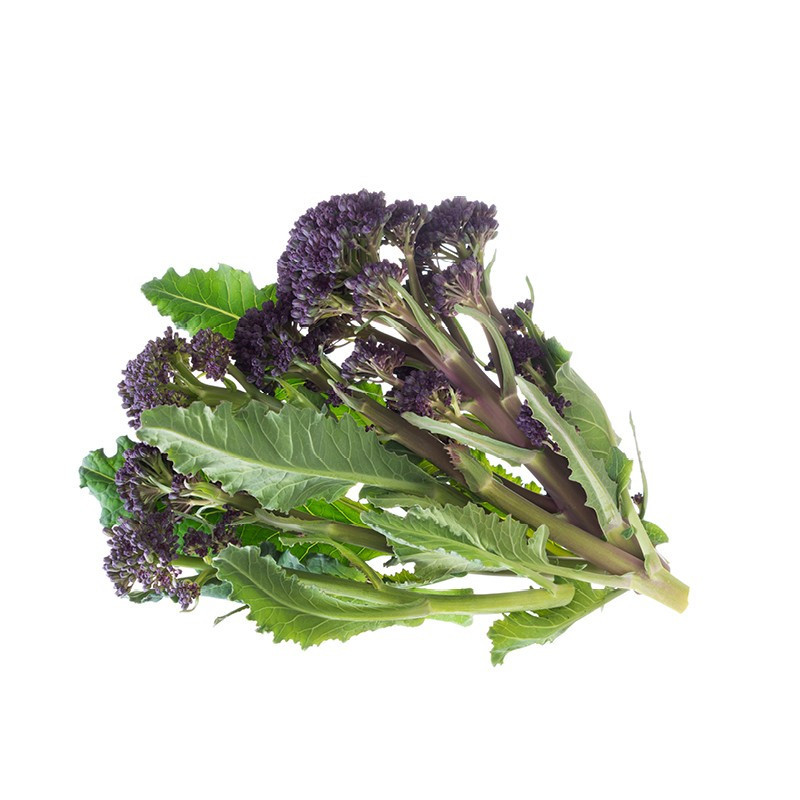 Purple Sprouting Broccoli