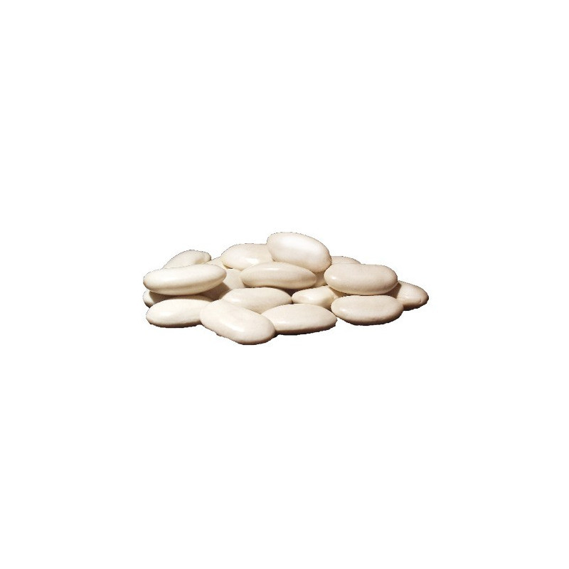 Tarbais Beans