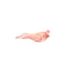 Whole Carcasse Milk Lamb Without Head