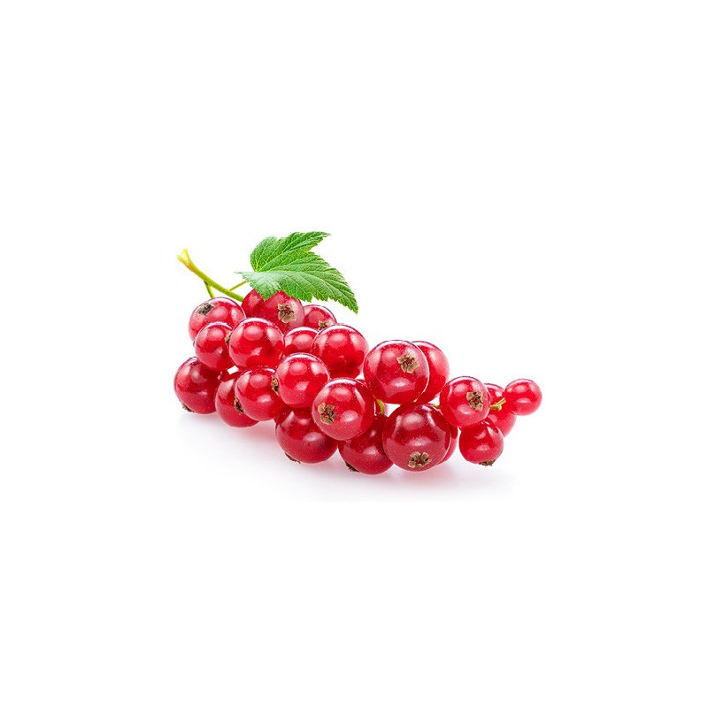 Redcurrants