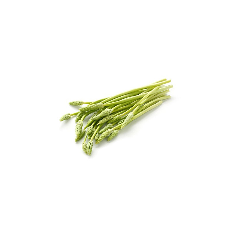 Wild Asparagus