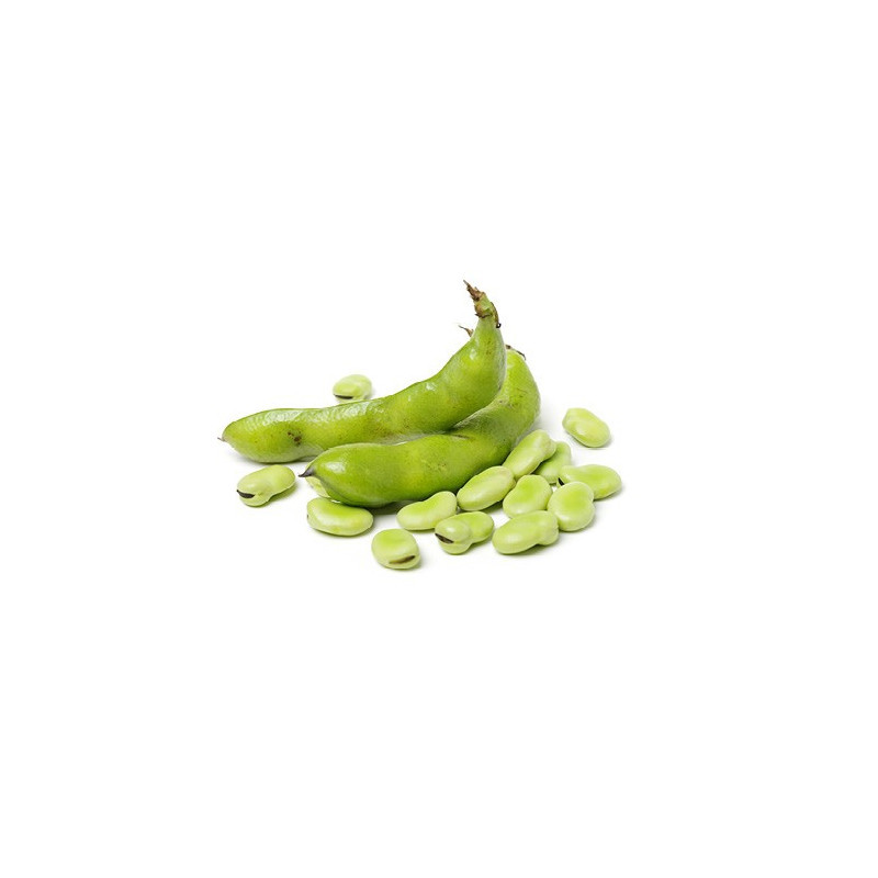 Broad Beans
