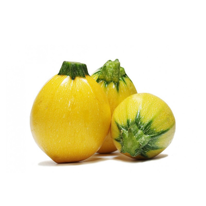Round Yellow Courgette