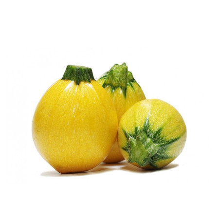 Round Yellow Courgette
