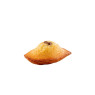 Chocolate Hazelnut Filled Madeleine