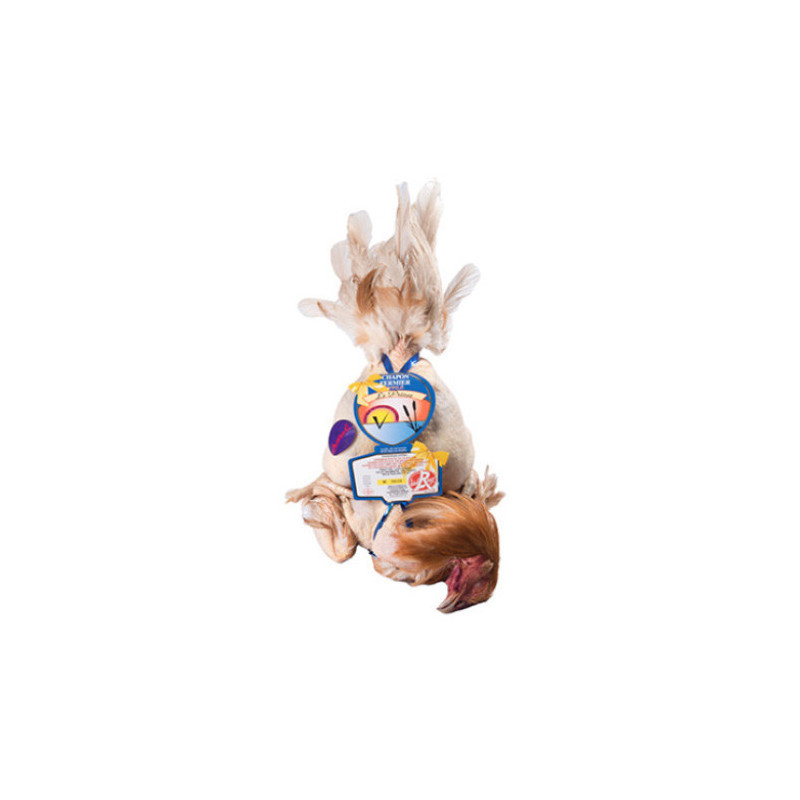 "Capon ""Prince De Dombes"" Castra Chicken "