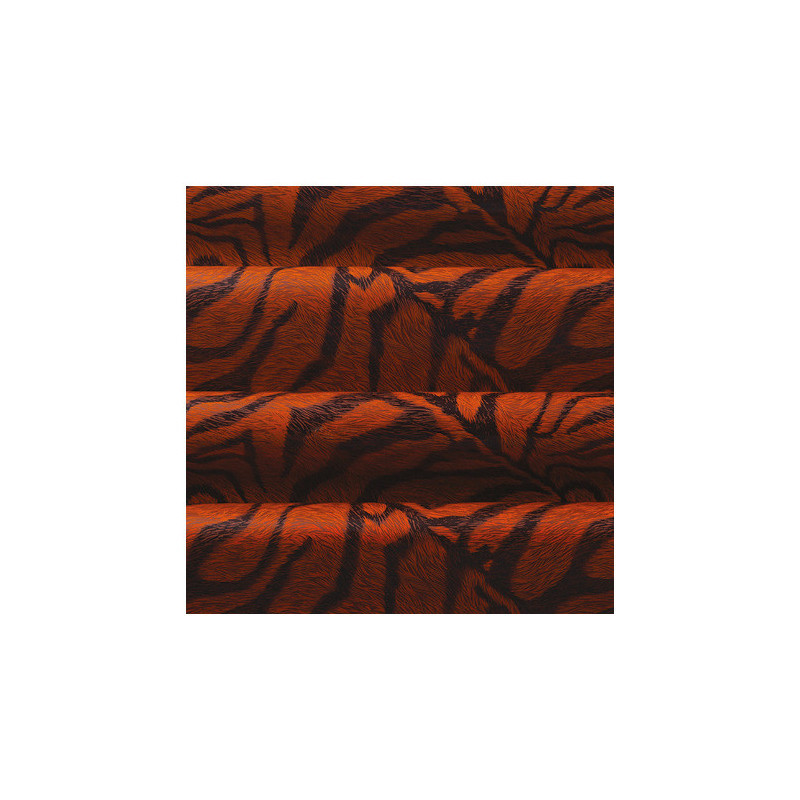 Transfer Sheets 'Zebra'