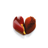 Double Coeur Mould