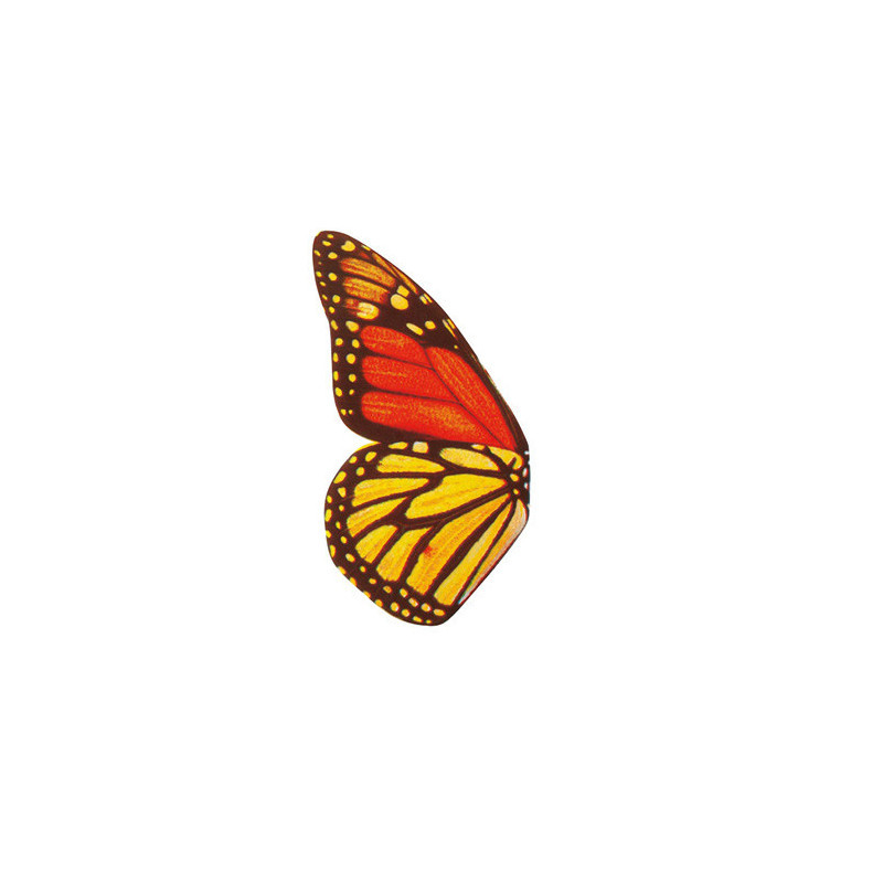 220 White Chocolate Butterfly Wings