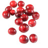 Cranberries