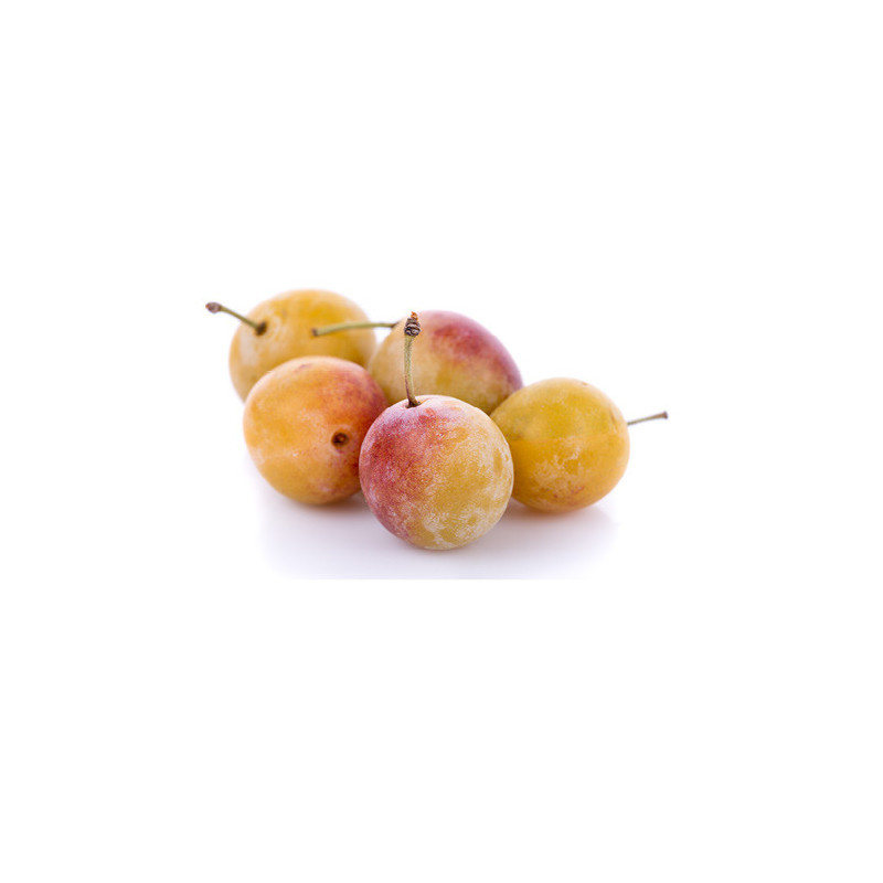 Mirabelle Plum