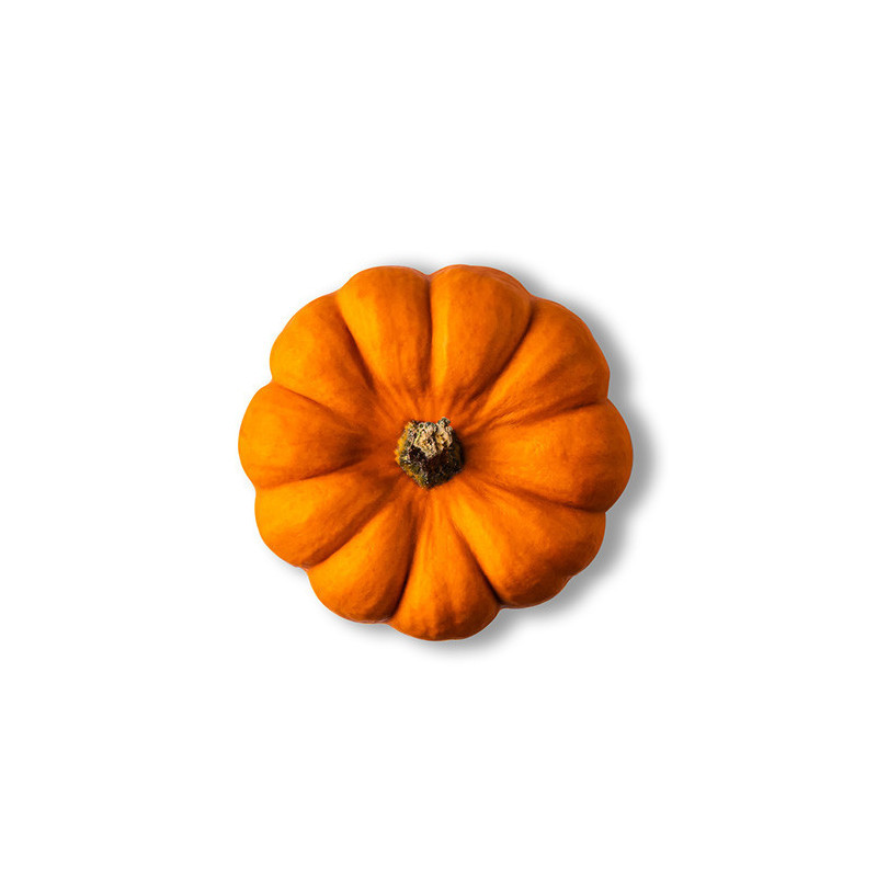 Muscade De Provence Pumpkin