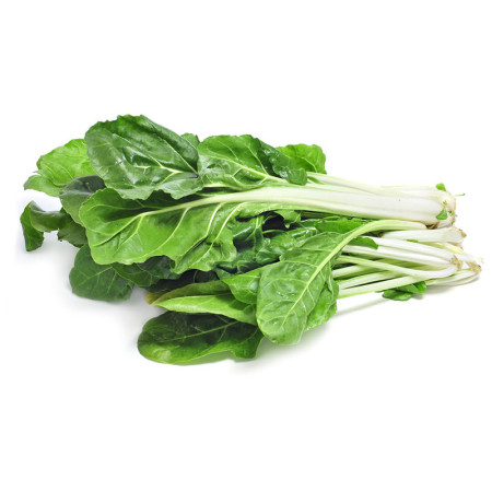 Swiss Chard