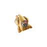 Spring Chicken