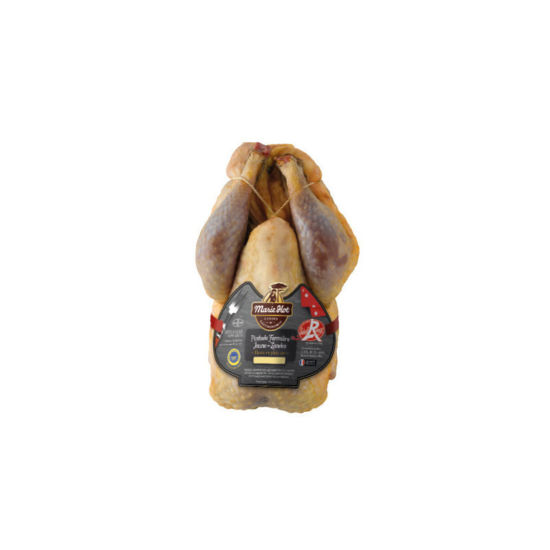 Guinea Fowl