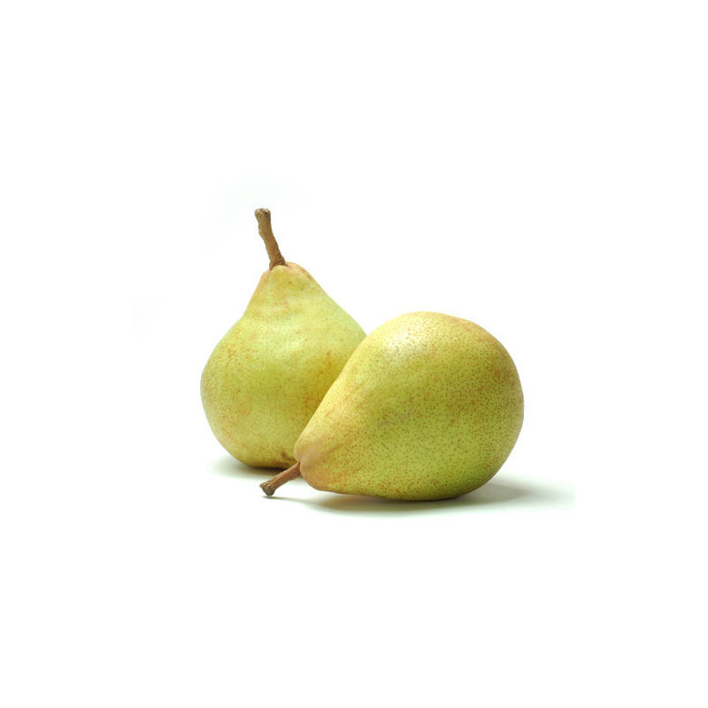Mouneyrac Comice Pear