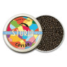 Sturia Baerii Vintage Caviar