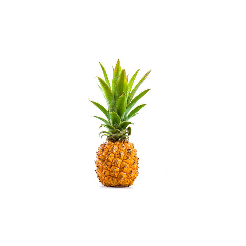 Victoria Pineapple