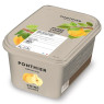 Ponthier Frozen 100% Wild Quince Puree