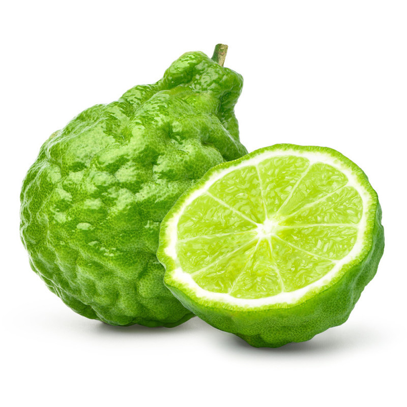 Bergamot