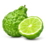 Bergamot