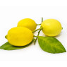 Leafy Lemons