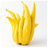 Buddha Hand