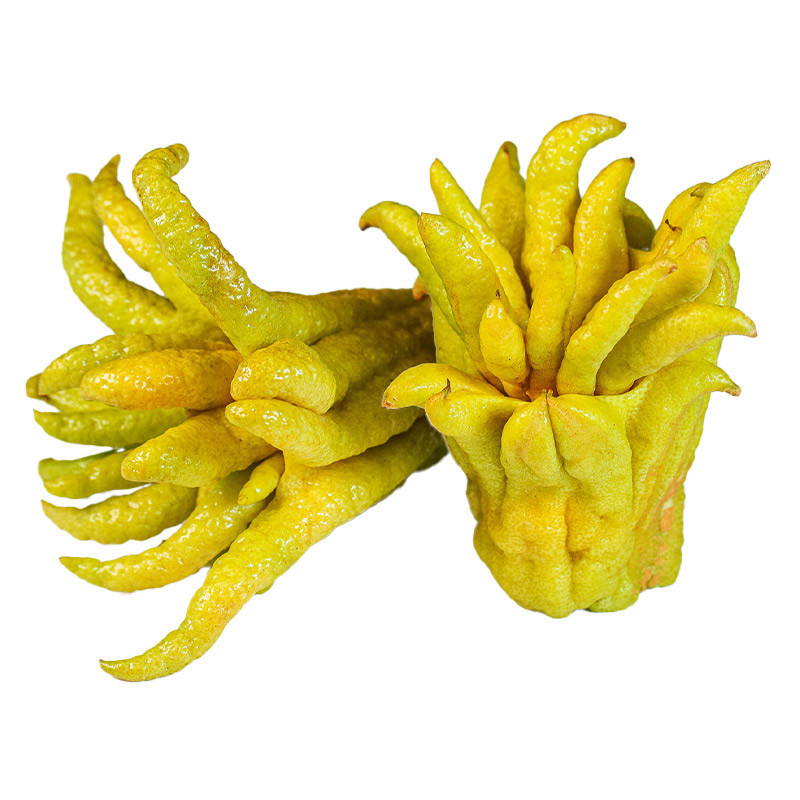 Buddha Hand