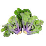 Kalettes (Flower Sprouts)