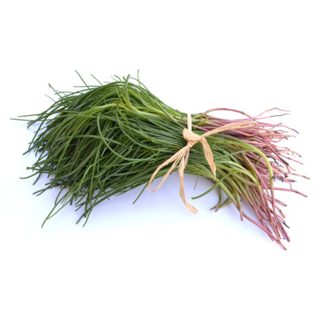 Monks Beard