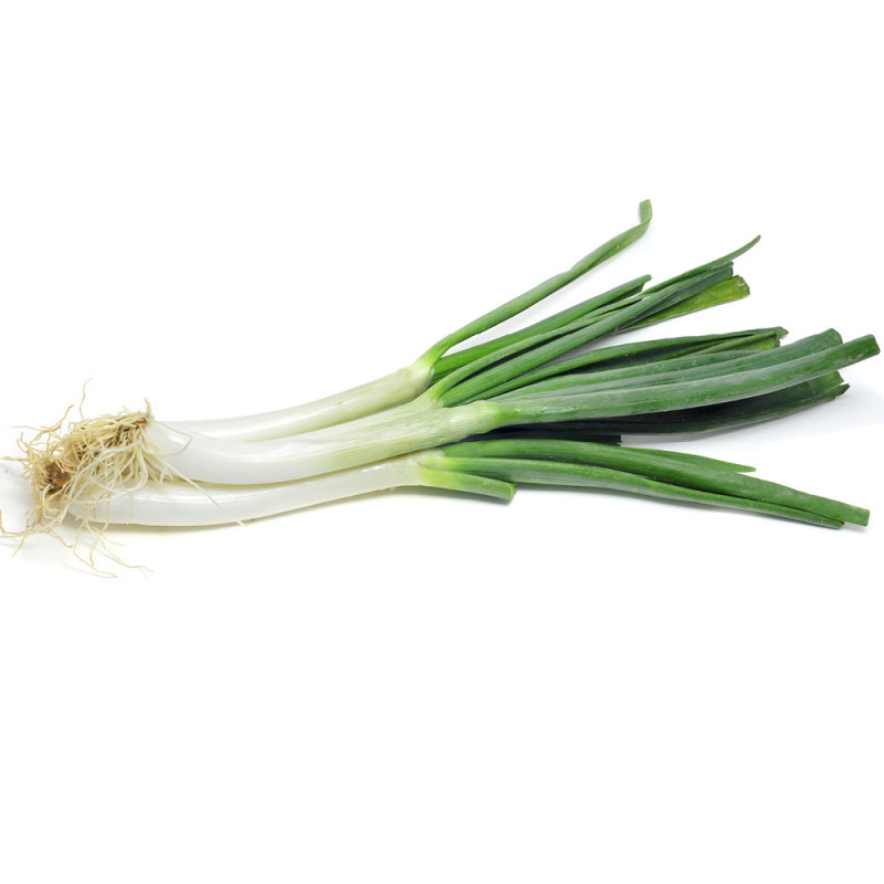 Calcot Onions