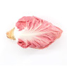Pink Radicchio