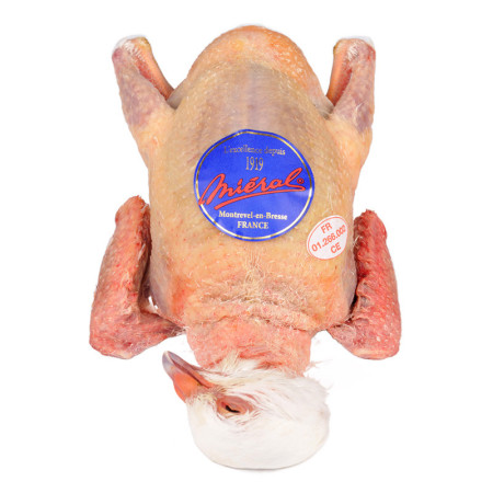 Mieral Excellence Squab Pigeon