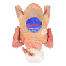 Mieral Excellence Squab Pigeon