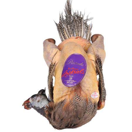 Mieral Excellence Guinea Fowl