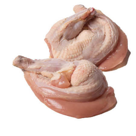 Mieral Prince de Dombes Black Chicken Supreme