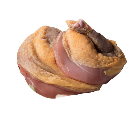 Mieral Prince de Dombes Guinea Fowl Supreme