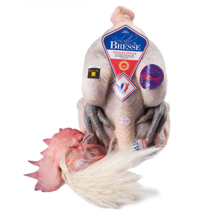 Mieral Bresse Male Chicken