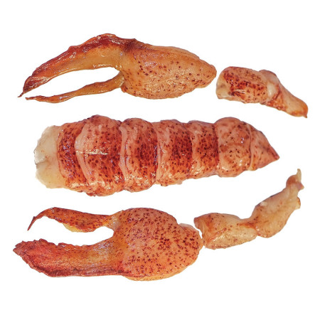 Cinq Degres Ouest Raw Canadian Lobster Tails and Claws
