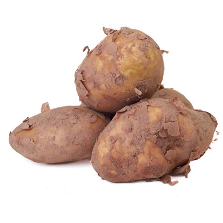 Jersey Royals Ware Potato