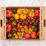 Mixed Heritage Tomatoes