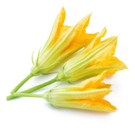 Courgette Flowers