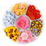 Selection Wheel Flowers