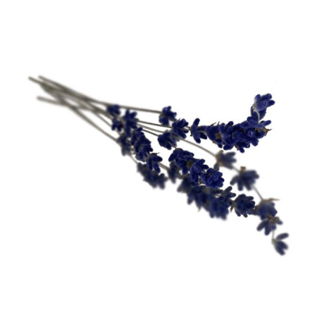 Dried Lavender Flowers