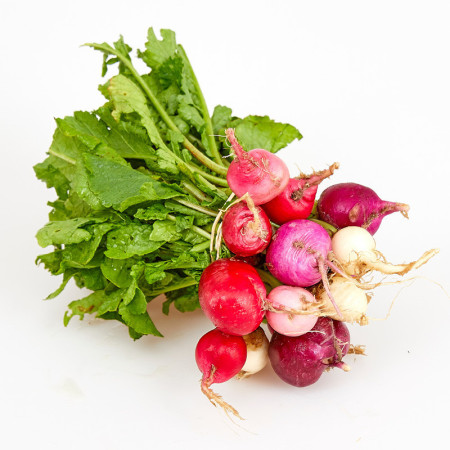 Rainbow Radish Bunch