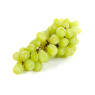 White Seedless Grapes